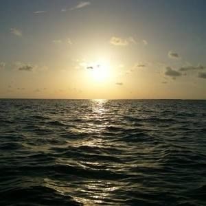 Meet your Posher, Drew